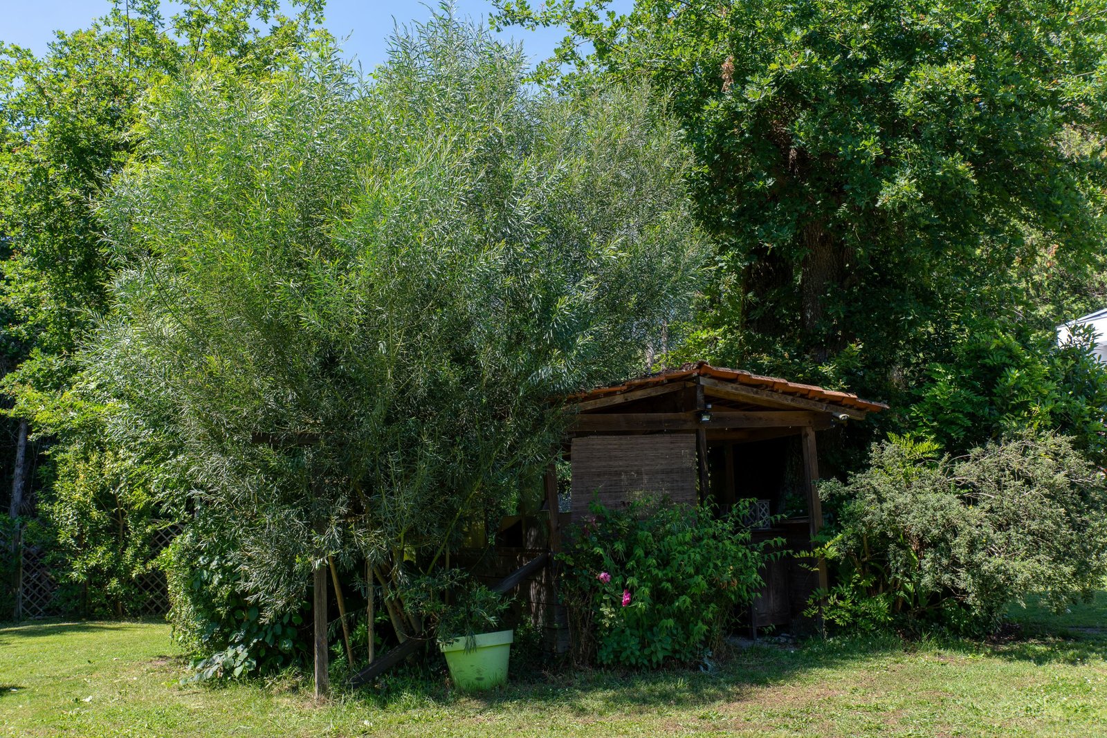 Jardin de la maison Lucilda maison-lucilda-jardin-