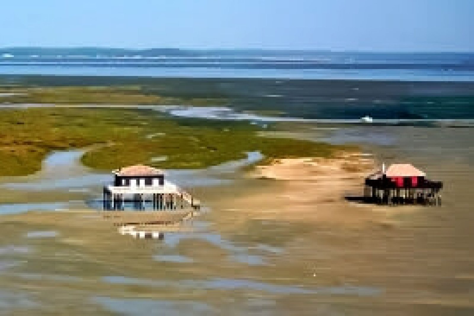 La région autour de la maison Lucilda bassin-arcac